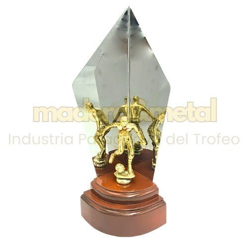 Imagen de Trofeo económico - M1.010